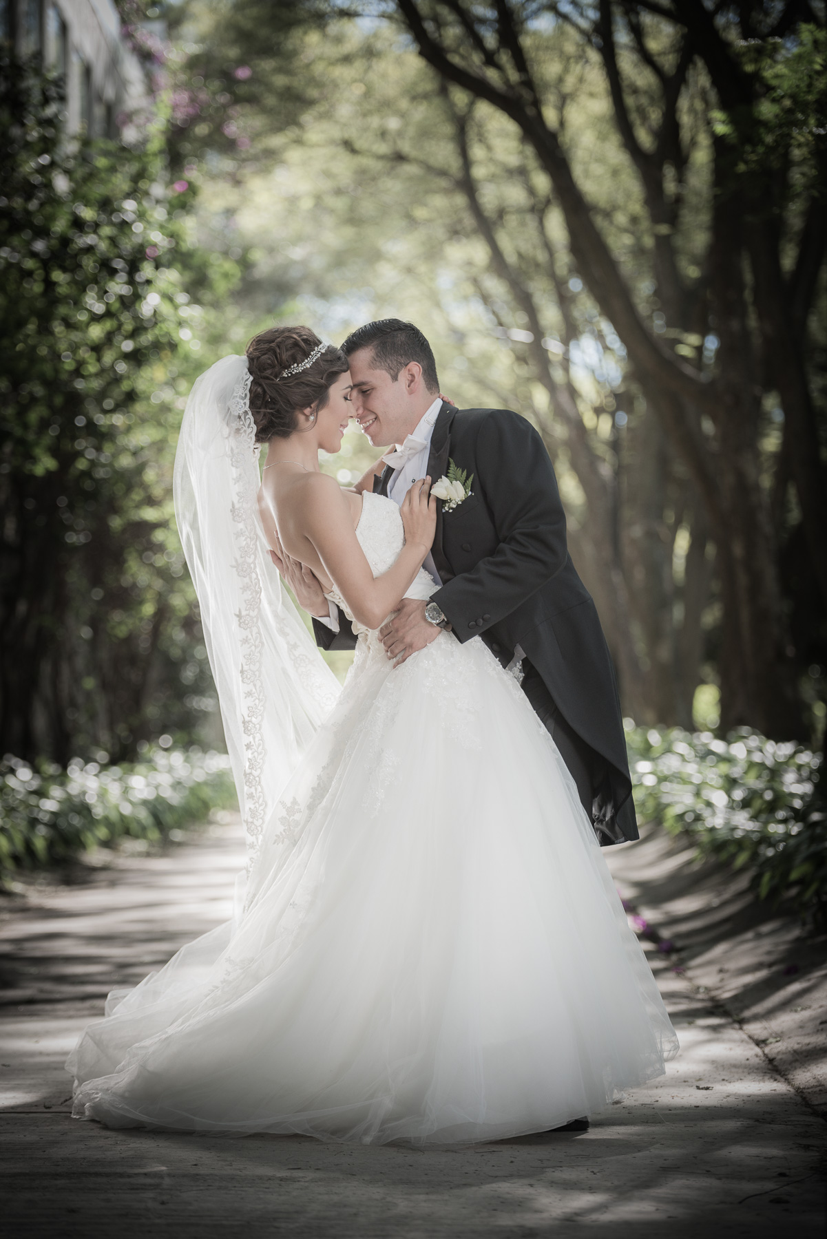 Bodas